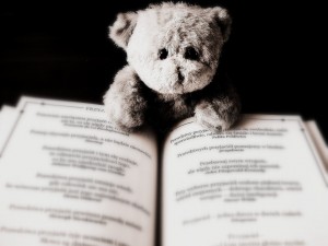 bear-422369_960_720